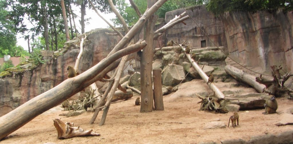 Nuremberg Parks: Zoo